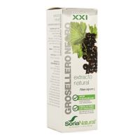 Soria Ribes Nigrum Xxi Extr.fl. 50ml