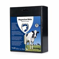 Excellent Magnesiumbolus, ter vermindering van het risico op tetanie (hypomagnesiëmie of hoofdziekte), aanvullende voeding, geschikt voor rundvee, magnesium, 4 x 180 g