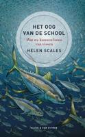 Het oog van de school: Wat we kunnen leren van vissen
