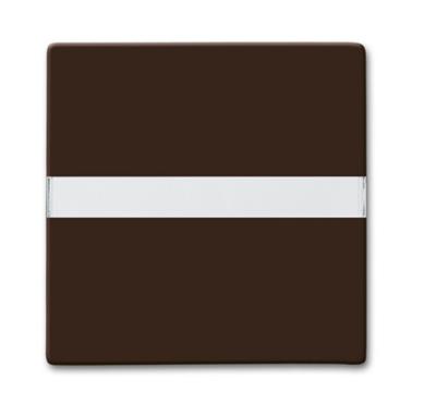 Busch-Jaeger 1731-0-1960 veiligheidsplaatje voor stopcontacten Bruin