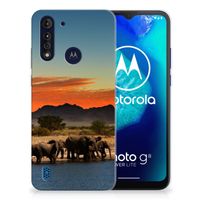 Motorola Moto G8 Power Lite TPU Hoesje Olifanten - thumbnail