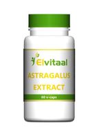 Astragalus extract 500mg - thumbnail