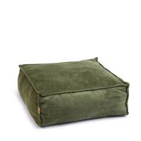 Designed by Lotte Velveti Ligkussen - Kat - Fluweel - Groen - 50x50x20 cm