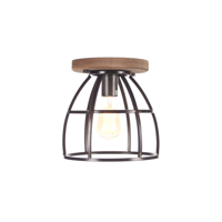 Design plafondlamp PL5925Z Birdie Klein