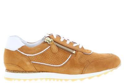 Hassia 301919 H 2906 hazel Cognac 