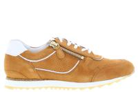 Hassia 301919 H 2906 hazel Cognac 