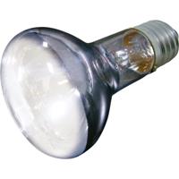 Warmtelamp Terrarium Sunlight Beam - 75 watt 75 watt Flamingo