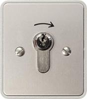 Kaiser Nienhaus - 1 x sleutelschakelaar AP 322 600