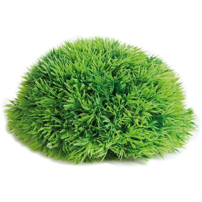 Aquarium plant Halve Mosbal - dia 12 cm 11 x 11 x 5 cm Flamingo Groen