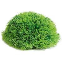 Aquarium plant Halve Mosbal - dia 12 cm 11 x 11 x 5 cm Flamingo Groen