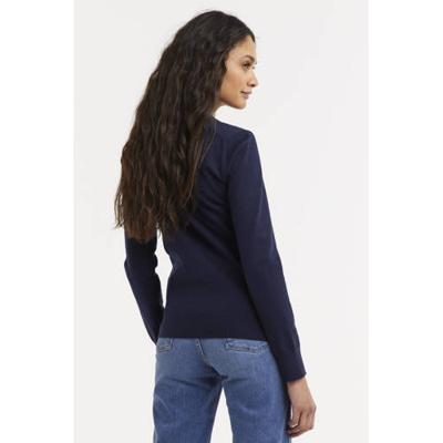 POLO Ralph Lauren trui blauw