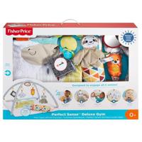 Fisher Price - Deluxe Gym - Speelgoed (0887961824148)