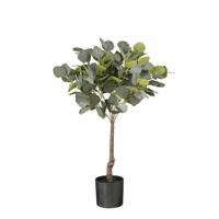 Mica Decorations Eucalyptus Kunstplant - H75 x Ø15 cm - Groen