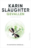 Gevallen (Paperback) - thumbnail