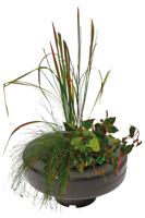 Superfish Drijvende Plantenmand Ø 22cm - Ecologisch en Decoratief voor Elke Vijver