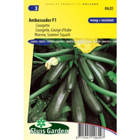 Courgette zaden Ambassador F1 - thumbnail