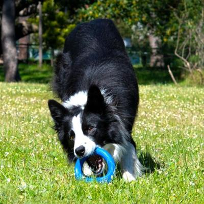 Hondenspeelgoed Pop Upz Blauw