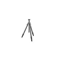 Gitzo GT2542 Mountaineer Serie 2 Carbon statief met 4 x pootsegmenten, zwart, grijs