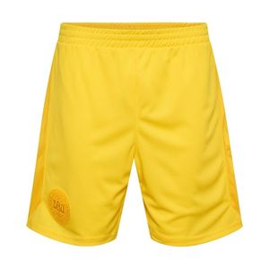 Denemarken Keepersshorts WK 2022