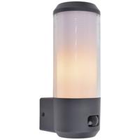 Lutec HEROS 5288202118 Buitenlamp met bewegingsmelder (wand) E27 Antraciet