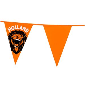 Vlaggenlijn - oranje met leeuw - 6 meter - 15 vlaggen - kunststof   -