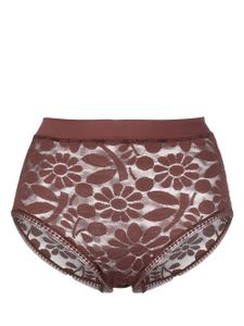 ERES culotte brodée à taille haute - Marron