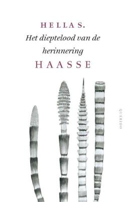Het dieptelood van de herinnering - Hella S. Haasse - Paperback (9789021455617)