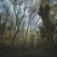 Time Lapse - CD (0702224128323)