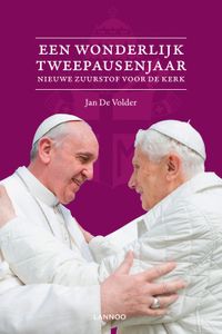 Een wonderbaarlijk tweepausenjaar - Jan de Volder - ebook