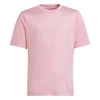 adidas Tabela 23 Jsy Y Jersey (korte mouw), uniseks, kinderen