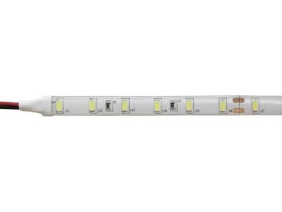 Barthelme 51511433 51511433 LED-strip Met open kabeleinde 24 V 500 cm Wit