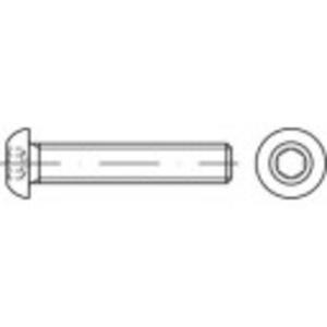 TOOLCRAFT TO-5381118 Lenskopschroeven M8 25 mm Binnenzeskant (inbus) RVS A4 200 stuk(s)