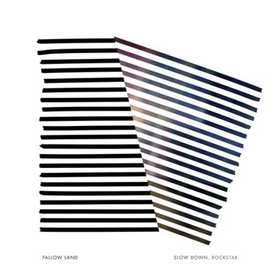 Slow Down, Rockstar - LP (0810017641147)