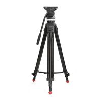 Sachtler Sachtler System Ace M MS