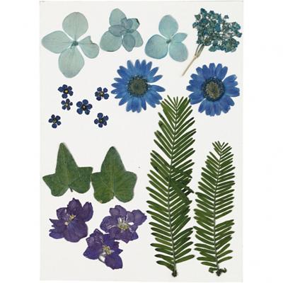 Creotime gedroogde blauwe bloemen en bladeren 19 stuks multicolor Creotime gedroogde blauwe bloemen en bladeren 19 stuks multicolor