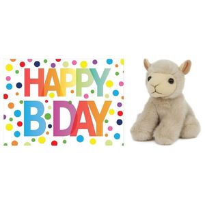 Pluche knuffel lammetje/schaap 13 cm met A5-size Happy Birthday wenskaart