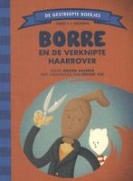 Borre en de verknipte haarrover - Jeroen Aalbers - Hardcover (9789089221605)