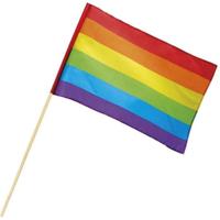 Boland Regenboog Zwaaivlag 76x45cm
