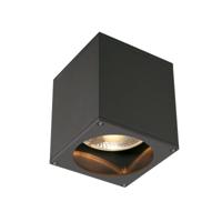 SLV BIG Theo QPAR111 Antraciet plafondlamp