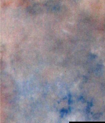 Falcon eyes achtergronddoek s122 2,9x7 m Falcon eyes achtergronddoek s122 2,9x7 m