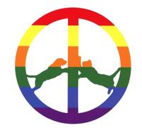 Rainbow Edition - CD (5054429119770)