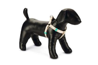 Beeztees uni - hondentuig - nylon - beige - 35-60cmx15mm