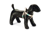 Beeztees uni - hondentuig - nylon - beige - 35-60cmx15mm