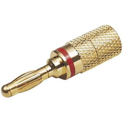 TRU COMPONENTS Lamellenstekker Stekker, recht Stift-Ø: 4 mm Zwart 1 stuk(s)