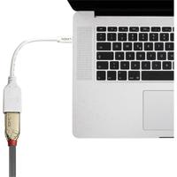 LINDY 41021 DisplayPort / Mini-displayport Adapterkabel [1x DisplayPort bus - 1x Mini-DisplayPort stekker] Wit 15.00 cm