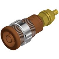 SKS Hirschmann SEB 2600 G M4 Veiligheids-labconnector, female Bus, inbouw verticaal Stift-Ø: 4 mm Bruin 1 stuk(s)