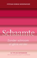 Schaamte - Stephan Konrad Niederwieser - ebook - thumbnail