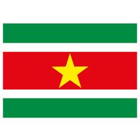 Vlag Suriname stickers 7.5 x 10 cm