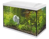 Superfish Start 70 Tropical Kit Wit - 60L Compleet Aquarium met LED, Filter & Heater - thumbnail