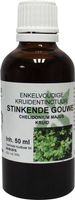 Natura Sanat Chelidonium majus / stinkende gouwe tinctuur bio (50 ml)